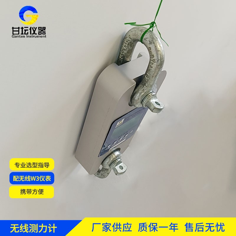 250t測力儀